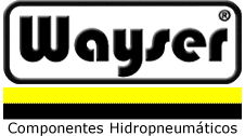 WAYSER
